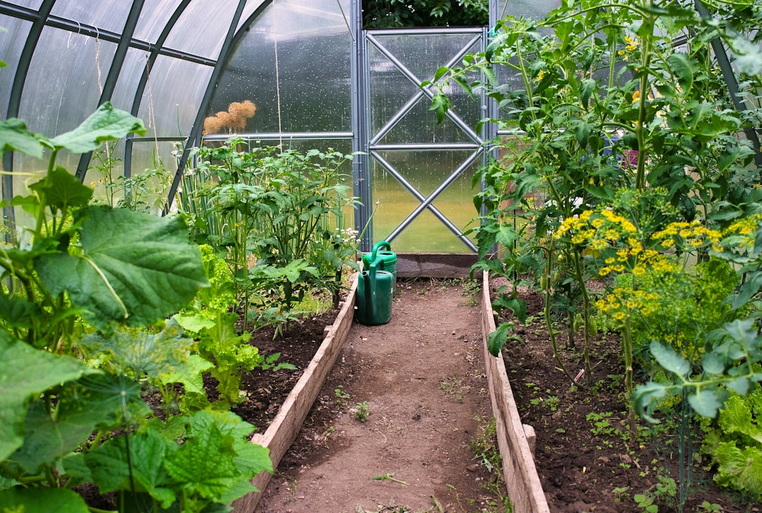 Zelf een muurserre maken: een groene uitbreiding aan huis