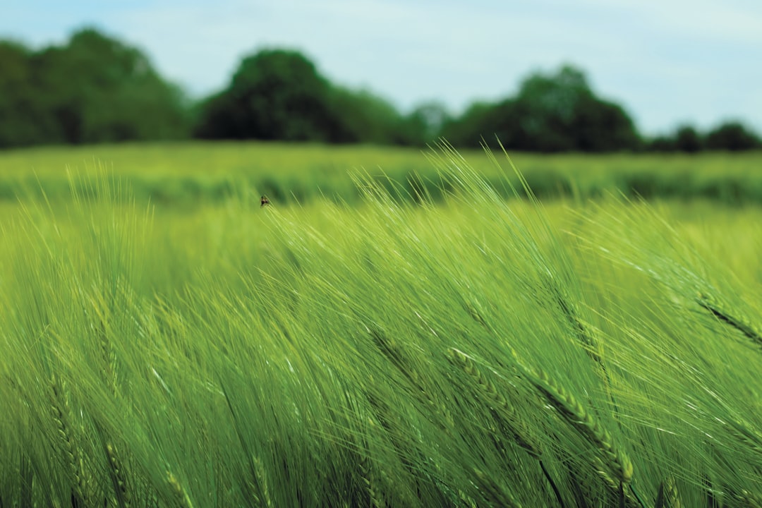 Groene constructie: zo bouwen we aan een betere toekomst